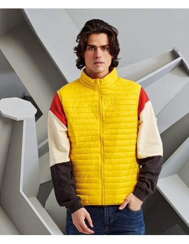 2-TS019-Doudoune sans manches Tribe Fineline homme